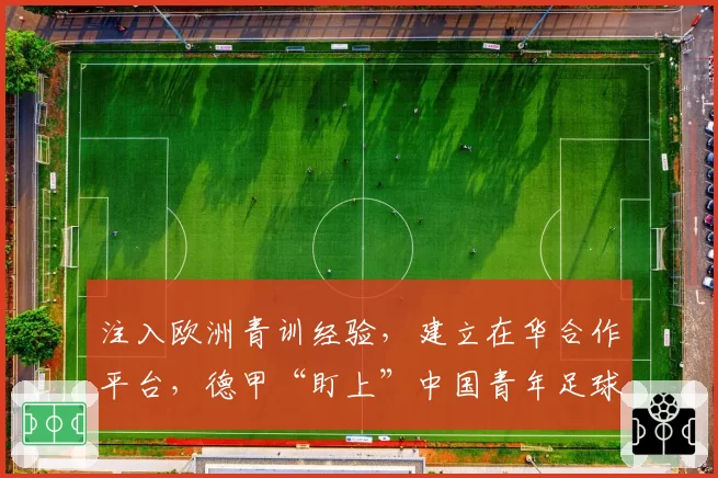 注入欧洲青训经验，建立在华合作平台，德甲“盯上”中国青年足球人才