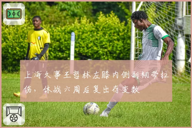 上海久事王哲林左膝内侧副韧带拉伤，休战六周后复出存变数