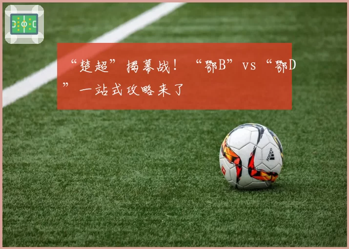 “楚超”揭幕战！“鄂B”vs“鄂D”一站式攻略来了