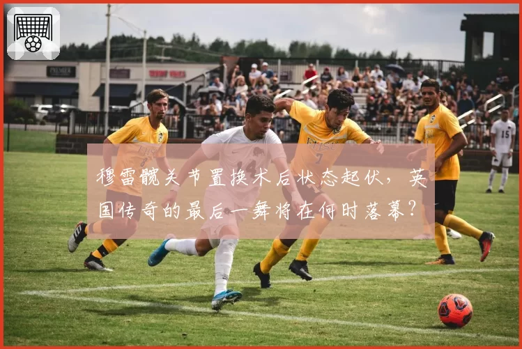 穆雷髋关节置换术后状态起伏,英国传奇的最后一舞将在何时落幕?