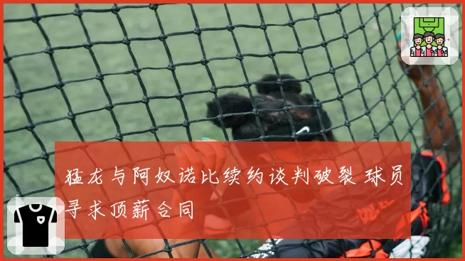 猛龙与阿奴诺比续约谈判破裂 球员寻求顶薪合同