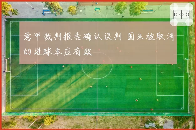 意甲裁判报告确认误判 国米被取消的进球本应有效