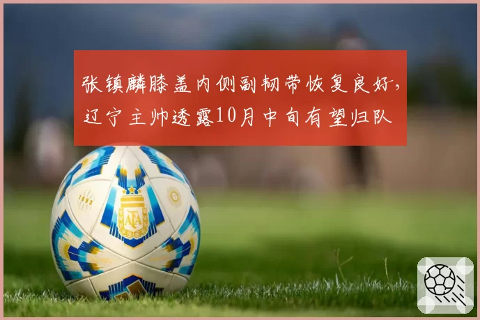 张镇麟膝盖内侧副韧带恢复良好,辽宁主帅透露10月中旬有望归队