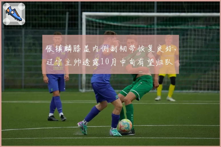 张镇麟膝盖内侧副韧带恢复良好,辽宁主帅透露10月中旬有望归队